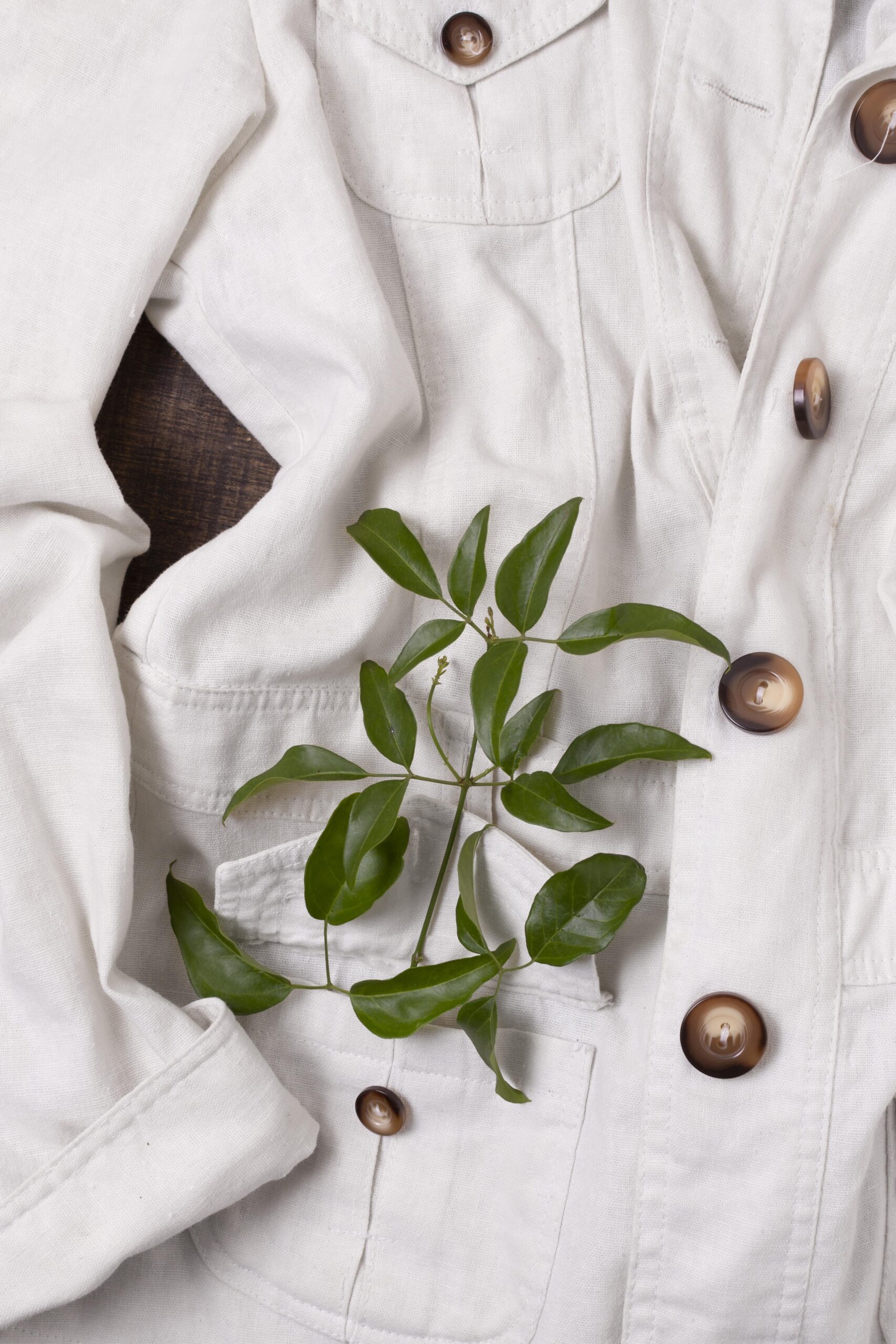 still-life-sustainability-concept-arrangement